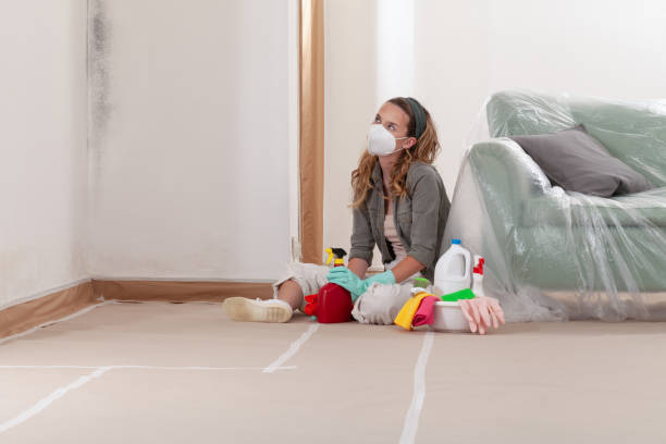 Reliable Mold Testing contractor in Boonsboro, MD by WQB Mold Removal